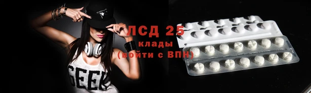 СК Заводоуковск