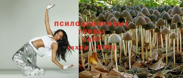 СК Заводоуковск
