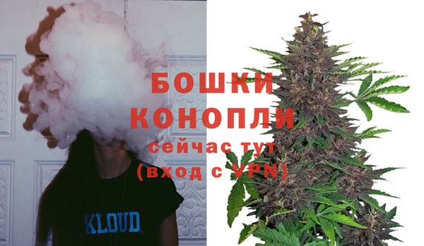 СК Заводоуковск